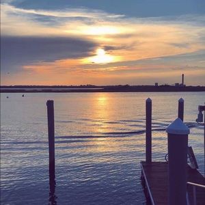 Meet your Posher, Molly